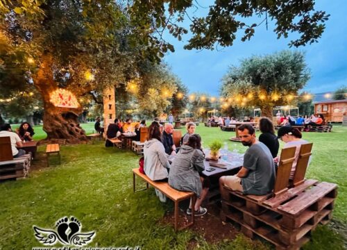 Walking a Cisternino con aperitivo nell’uliveto sul monte Pizzuto