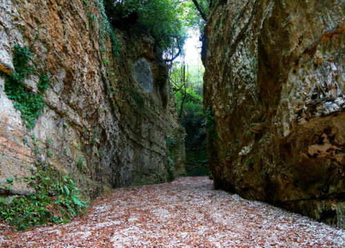 Trekking Gargano: Monte Civita e Torrente Romandato