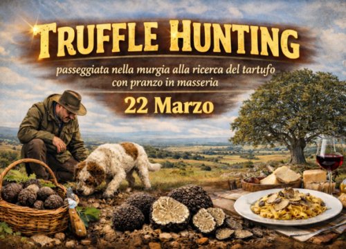 Truffle Hunting Alta Murgia con pranzo in masseria – Esperienze in Puglia